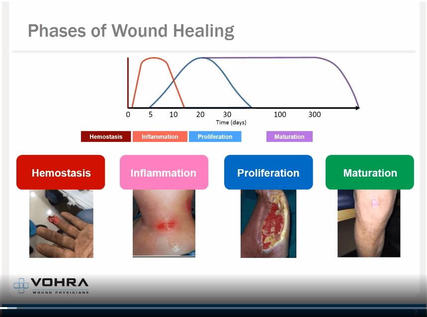 Photos Of Wound Healing Stages